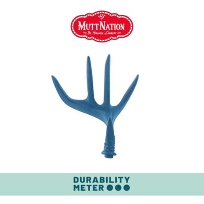 Image showing  Duraflex Antler Dog Chew Toy