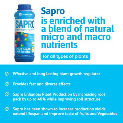 Image showing  All Purpose Organic Liquid Fertilizer