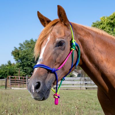 Image showing  Multi-Color Rope Halter