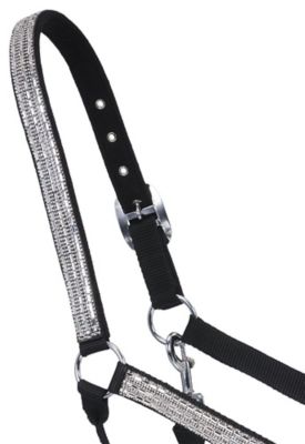 Image showing 1 th Tough1 Miniature Nylon Halter with Crystals
