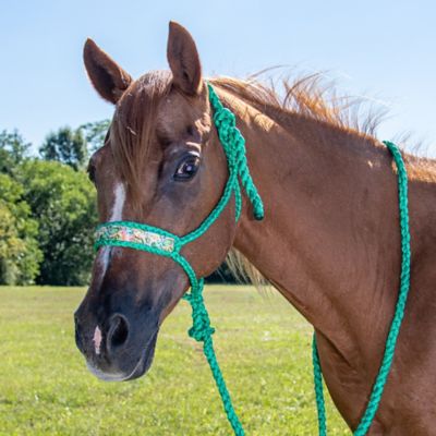 Image showing  Printed Overlay Mule Tape Halter with Lead