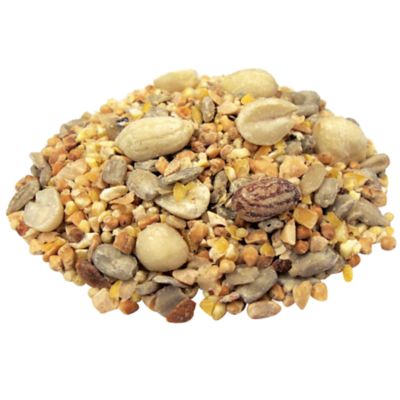 Image showing  No Waste Blend Wild Bird Food