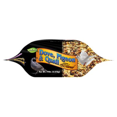 Image showing  Dove Pigeon & Quail Food