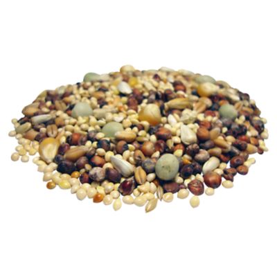 Image showing  Dove Pigeon & Quail Food