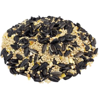 Image showing  Best Blend Wild Bird Food