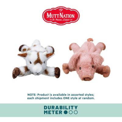 Image showing  Prizewinner Plush Flattie Dog Toy, Assorted Styles