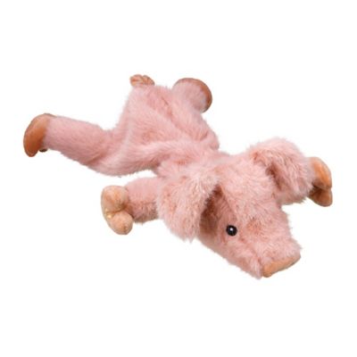 Image showing  Prizewinner Plush Flattie Dog Toy, Assorted Styles