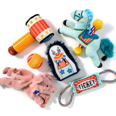 Image showing  Prizewinner Plush Flattie Dog Toy, Assorted Styles