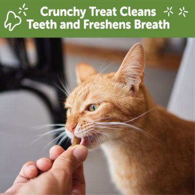 Image showing  Soft Chew Dental Treats, Chicken & Tuna, 2 oz.