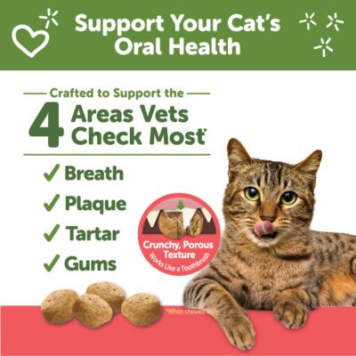 Image showing  Dental Treats Chicken/Salmon 2 oz.