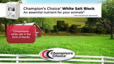 Image showing White Livestock Salt Block, 50 lb.