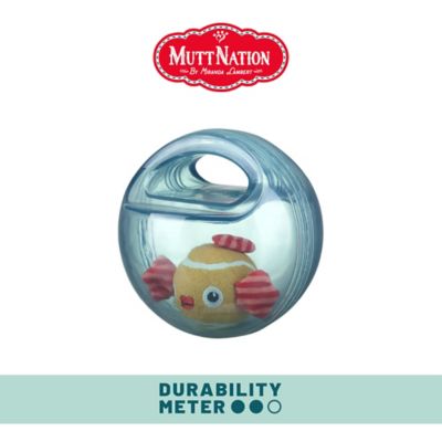 Image showing  Fish Bowl Jumbler Dog Toy