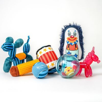 Image showing  Fish Bowl Jumbler Dog Toy