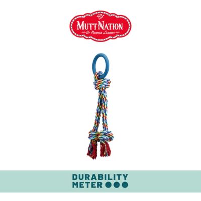 Image showing  Blue Ribbon Tug Dog Toy