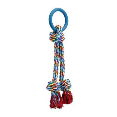 Image showing  Blue Ribbon Tug Dog Toy