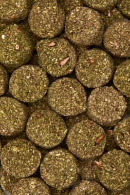 Image showing  Cookies for Horses Mindful Mini Pouch