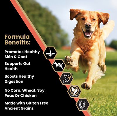 Image showing  All Life Stages Sensitive Skin and Stomach Salmon Meal and Brown Rice Recipe Dry Dog Food