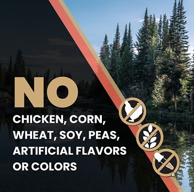 Image showing 6 th Victor All Life Stages Sensitive Skin and Stomach Salmon Meal and Brown Rice Recipe Dry Dog Food