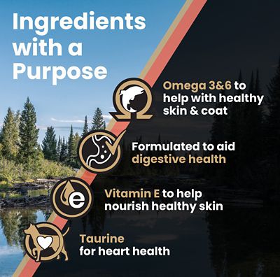 Image showing  All Life Stages Sensitive Skin and Stomach Salmon Meal and Brown Rice Recipe Dry Dog Food