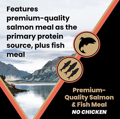 Image showing 5 th Victor All Life Stages Sensitive Skin and Stomach Salmon Meal and Brown Rice Recipe Dry Dog Food