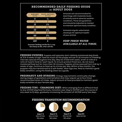 Image showing 8 th Victor All Life Stages Sensitive Skin and Stomach Salmon Meal and Brown Rice Recipe Dry Dog Food