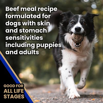 Image showing  All Life Stages Sensitive Skin and Stomach Beef Meal and Brown Rice Recipe Dry Dog Food