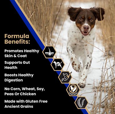 Image showing  All Life Stages Sensitive Skin and Stomach Beef Meal and Brown Rice Recipe Dry Dog Food