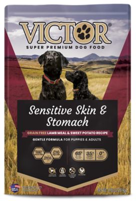 Victor Pet Food All Life Stages Sensitive Skin & Stomach Grain Free Lamb Meal & Sweet Potato Recipe Dry Dog Food, 5 lb. Bag