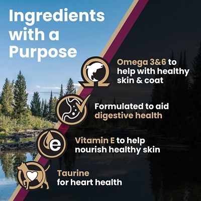 Image showing 6 th Victor All Life Stages Sensitive Skin & Stomach Grain Free Lamb Meal & Sweet Potato Recipe Dry Dog Food