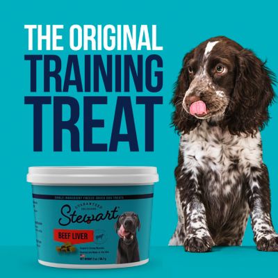 Image showing 8 th Stewart Single Ingredient 21 oz. Beef Liver Value Tub