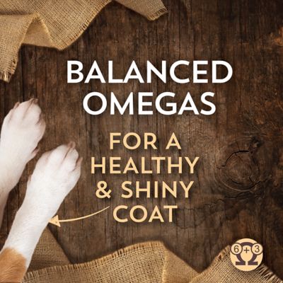 Image showing 5 th Wholesomes Sensitive Skin & Stomach Small Breed 12 lb. - Dry Food for Dogs