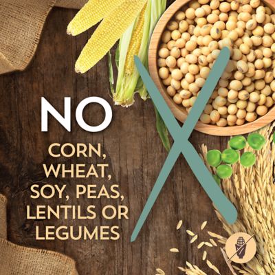 Image showing 6 th Wholesomes Sensitive Skin & Stomach Small Breed 12 lb. - Dry Food for Dogs