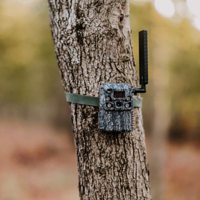 Image showing  Defender Vision Pro HD AI Cellular Trail Camera