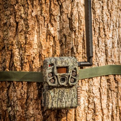 Image showing  Defender Vision Pro HD AI Cellular Trail Camera