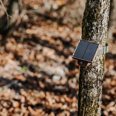 Image showing  Universal Trail Camera Solar Battery Pack