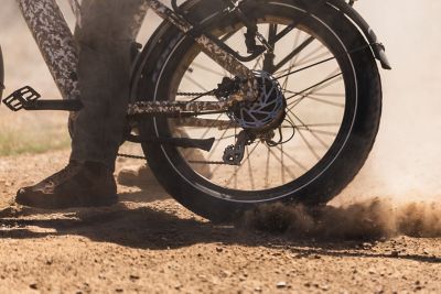 Image showing 6 th Dirwin Pioneer Plus Fat Tire All-Terrain Electric Bike, Black