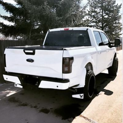 Image showing  2015-2020 F150 Rear Bumper Cover, DF1010