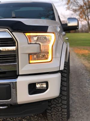 Image showing  2015-2017 F150 Front Bumper Cover (Side Sections) (With Fog Lamps), DF0201