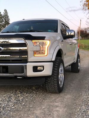 Image showing  2015-2017 F150 Front Bumper Cover (Side Sections) (With Fog Lamps), DF0210