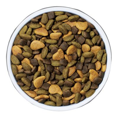 Image showing  Adult High Protein Real Chicken Recipe Dry Dog Food