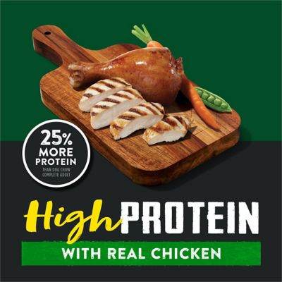 Image showing  Adult High Protein Real Chicken Recipe Dry Dog Food