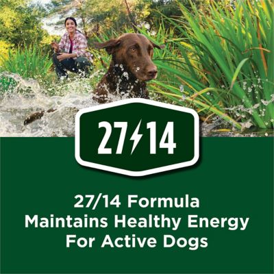 Image showing  Adult High Protein Real Chicken Recipe Dry Dog Food