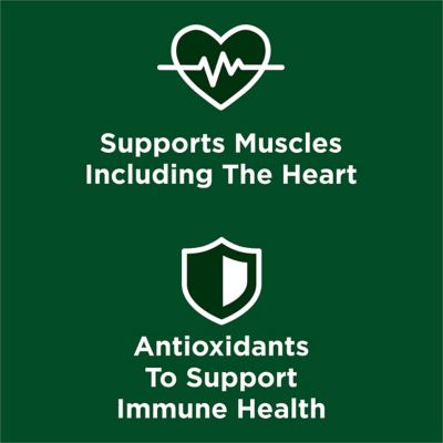 Image showing  Adult High Protein Real Chicken Recipe Dry Dog Food