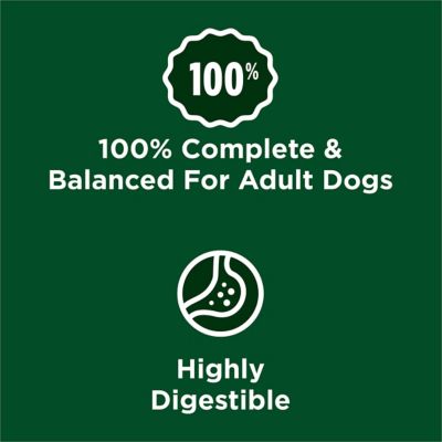 Image showing 8 th Purina Dog Chow Adult High Protein Real Chicken Recipe Dry Dog Food