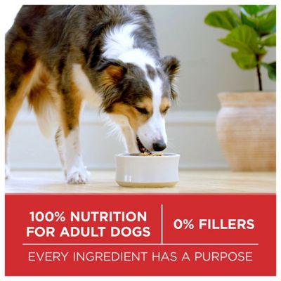 Image showing 5 th Purina ONE Small Bites Beef and Rice Formula High Protein Dry Dog Food