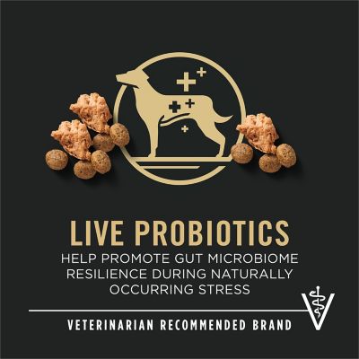 Image showing  Senior 7+ Small Breed Shredded Blend Chicken and Rice Formula Dry Dog Food