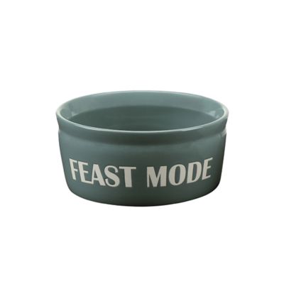 Retriever 61 oz. Slogan Ceramic Pet Food Bowl, Assorted