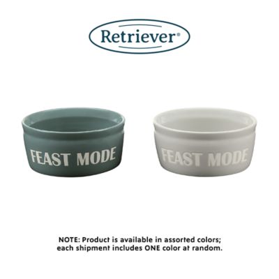 Image showing  61 oz. Slogan Ceramic Pet Food Bowl, Assorted