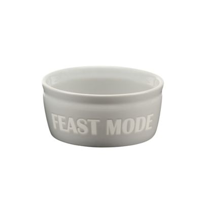 Image showing  61 oz. Slogan Ceramic Pet Food Bowl, Assorted