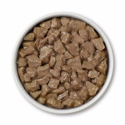 Image showing 8 th Purina ONE True Instinct Adult Beef and Bison Tender Cuts in Gravy Wet Dog Food, 13 oz.